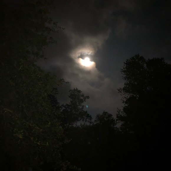 Meet your Posher, Jean - Picture 1 of 1